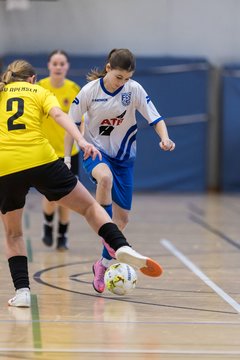 Bild 1276 - wBJ NFV Futsalmeisterschaft